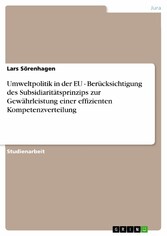 Umweltpolitik in der EU - Berücksichtigung des Subsidiaritätsprinzips zur Gewährleistung einer effizienten Kompetenzverteilung