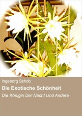 Die Exotische Schönheit